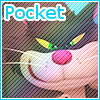 Pocket