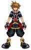Sora'sForms3453