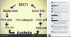 post-29043-0-35914500-1394681742_thumb.png