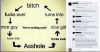 post-29043-0-51260000-1394681698_thumb.png