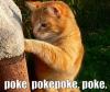 post-40449-0-41837400-1376632768_thumb.jpg
