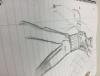 post-36749-0-00757400-1472663201_thumb.jpeg