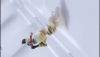 post-41666-0-20145600-1411861450_thumb.png