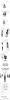 post-28391-0-80619000-1354415208_thumb.jpg