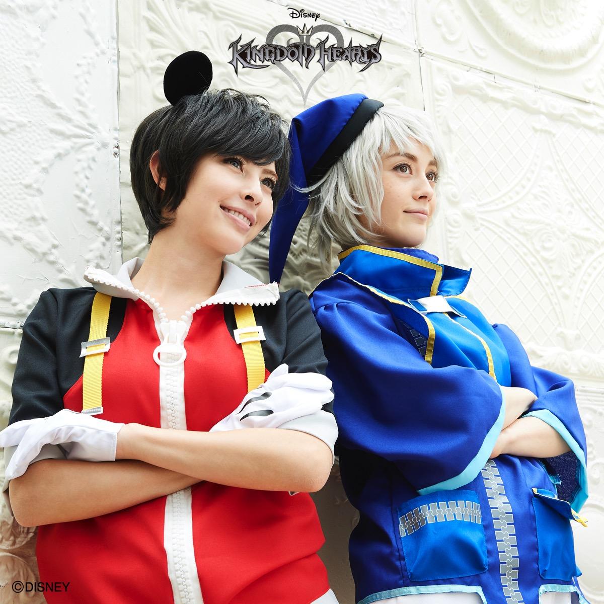 Kingdom Hearts Mickey/Donald Halloween Costumes