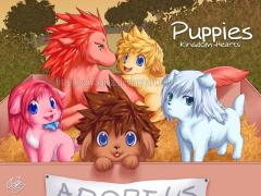 Kh Puppies X3