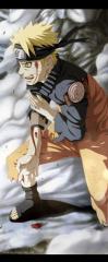 Naruto's final struggle