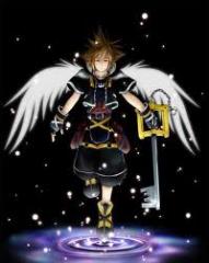 sora with wings
