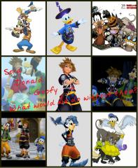 Sora Donald Goofy