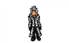 32 bit Xemnas in cow cape!