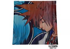 Kingdom Hearts II Print