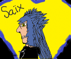 saix paint side