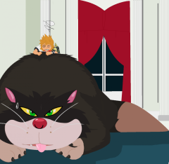 Cat Rodeo: The After Math