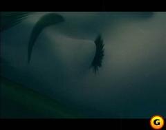 kingdom_screen002