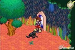 kingdom-hearts-chain-of-memories-20040806012045238
