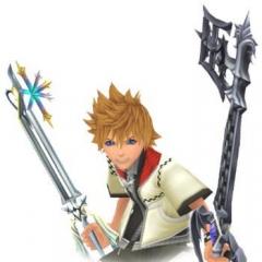 Roxas The Dual Wielder