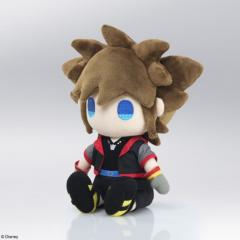 Sora 1.jpg