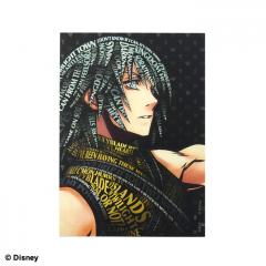 Kingdom Hearts Art Sticker Riku