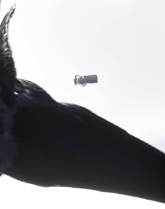 Screenshot (49).png