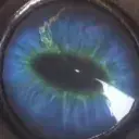 flashhwrld