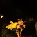 jayjay935115