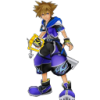 Master Sora