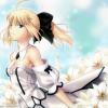 Saber Lily